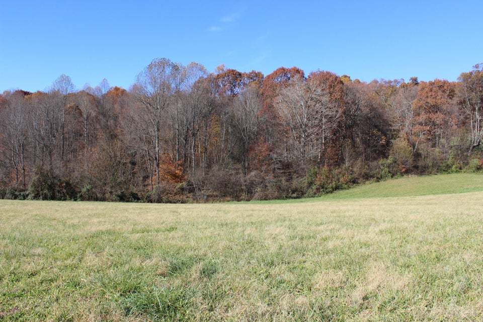 Photo #2: Lot 2 Providence Road