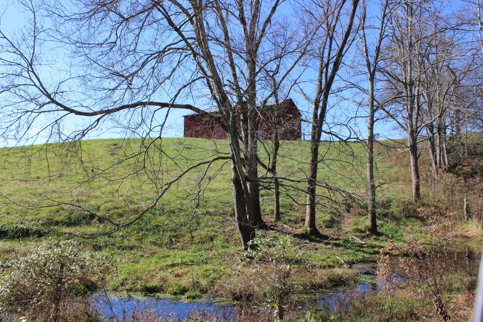 Photo #6: Lot 6 Providence Road