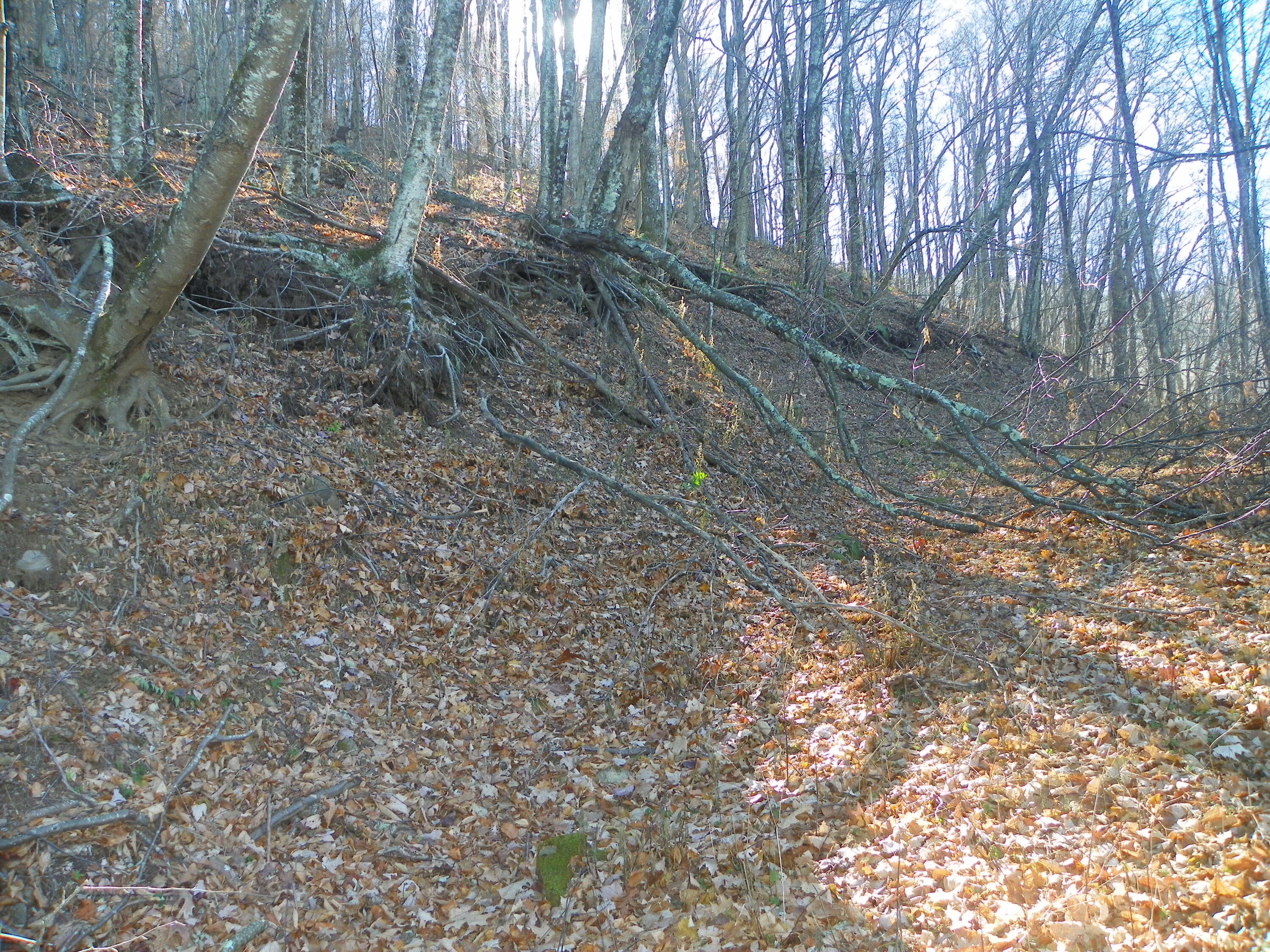 Photo #3: Tbd Sylvan Way