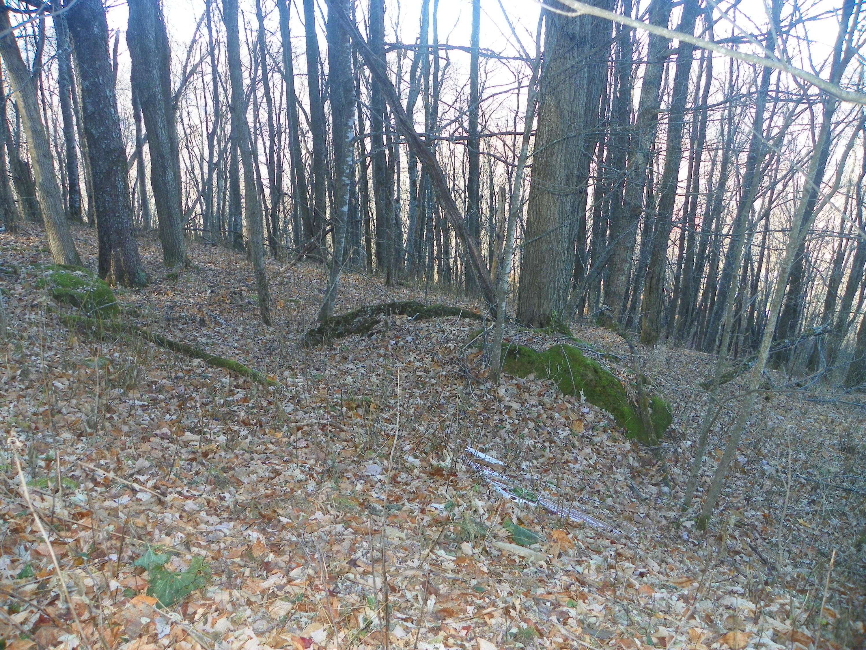 Photo #7: Tbd Sylvan Way