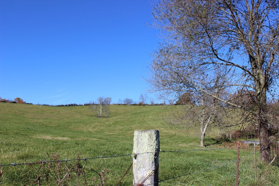 Photo #5: Lot 8 Tom Lewis Road