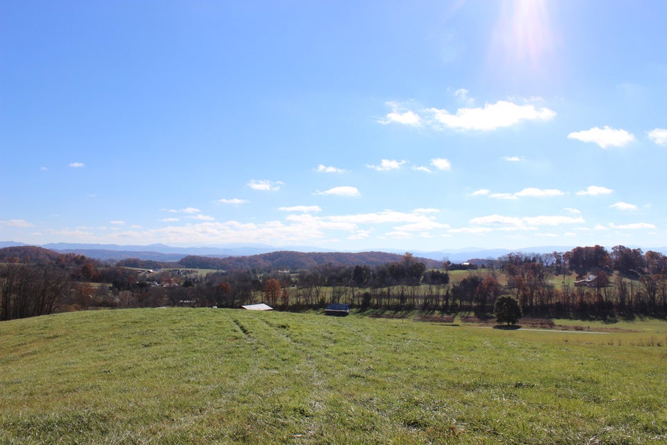 Photo #3: Lot 8 Tom Lewis Road