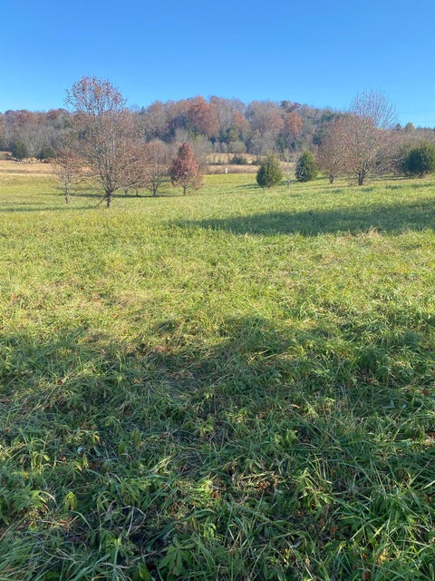 Photo #4: Lot 42 Secluded River Circle