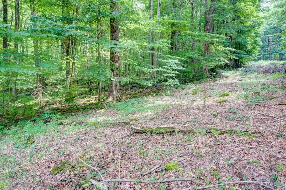 Photo #10: 111 Winters Hollow Private Drive