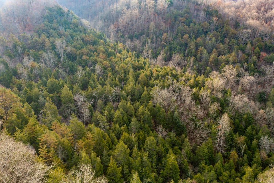 Photo #6: 1258 England Valley Road