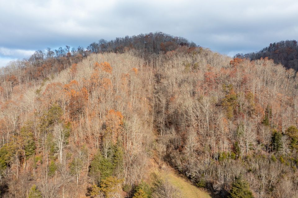 Photo #34: 1258 England Valley Road