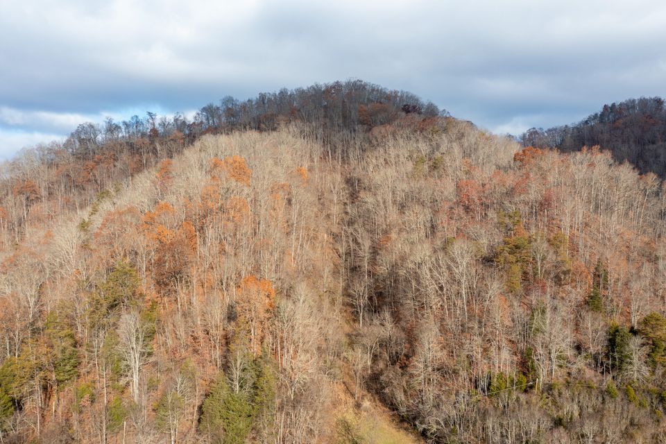 Photo #35: 1258 England Valley Road