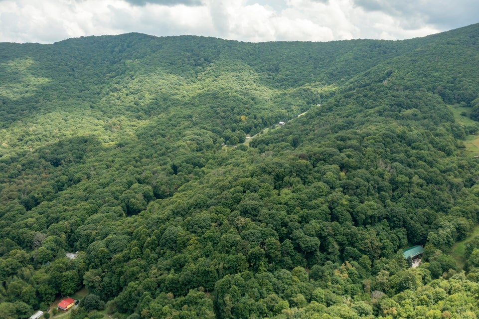 Photo #24: 119 Winters Hollow Private Drive