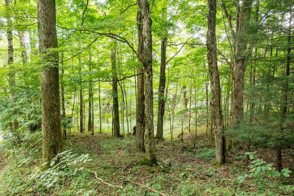 Photo #3: 119 Winters Hollow Private Drive