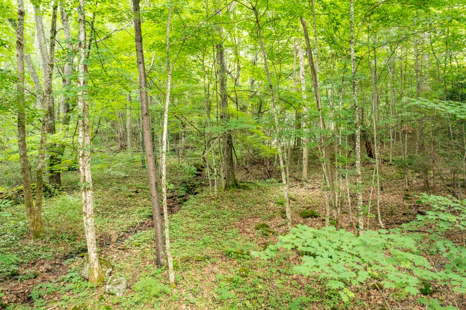 Photo #7: 125 Winters Hollow Private Drive