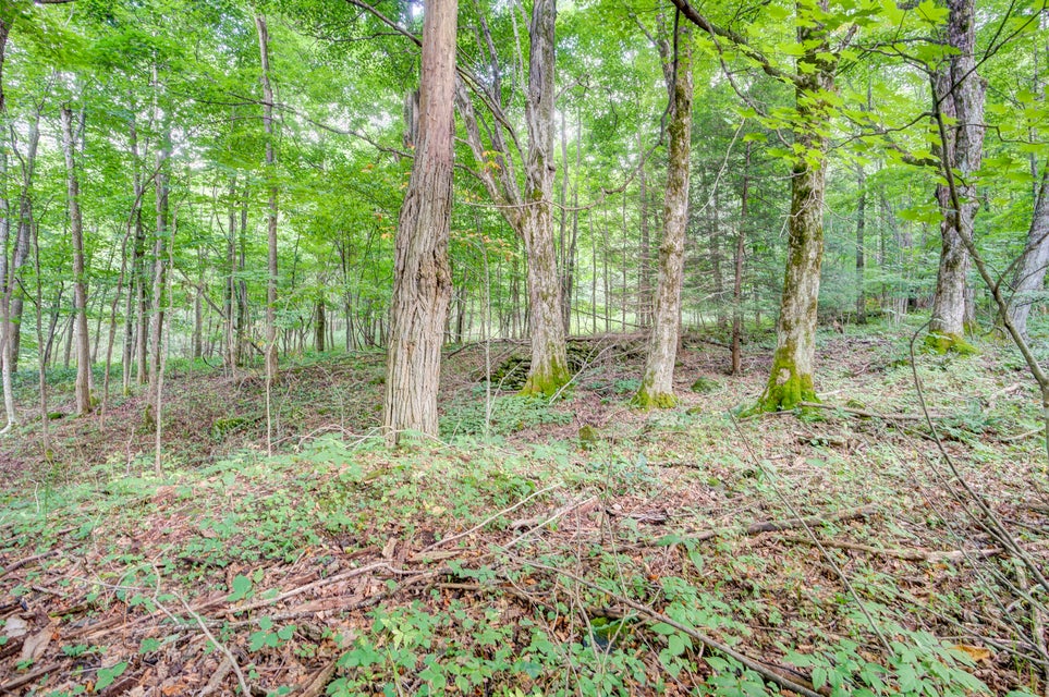 Photo #10: 131 Winters Hollow Private Drive