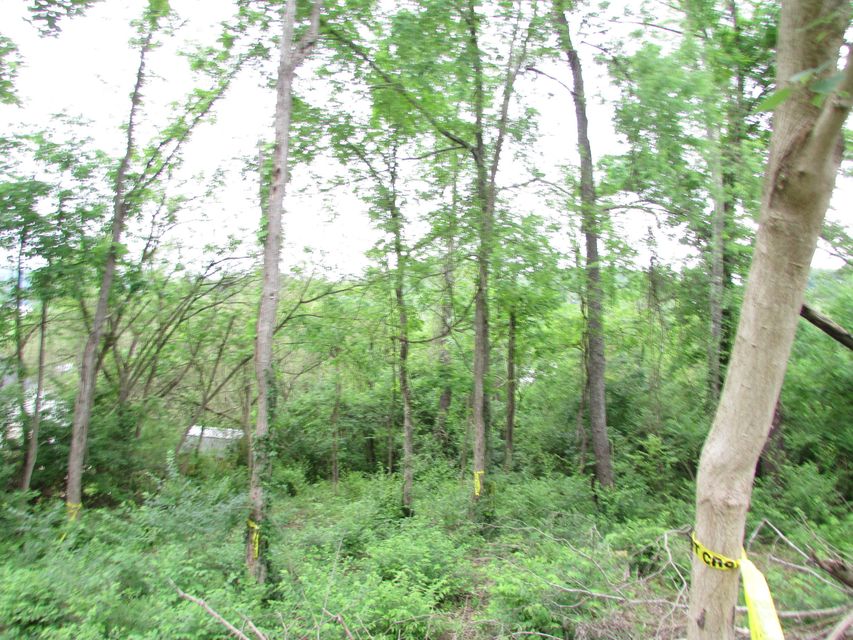 Photo #8: Tbd Daniel Lane