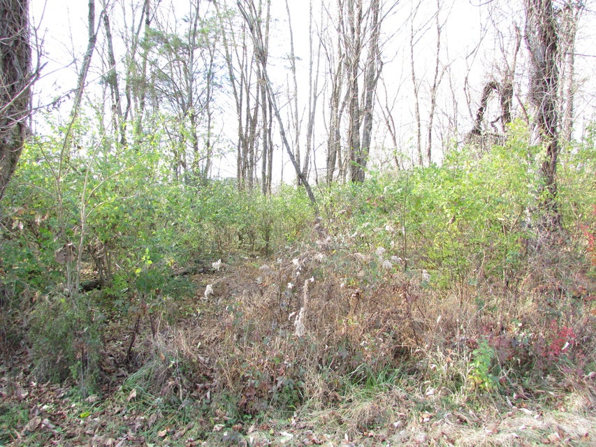 Photo #2: 208 Echo Drive
