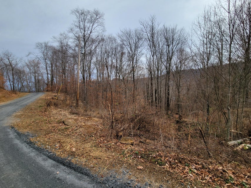 Photo #8: Lot 2 P 2 Theo's Way
