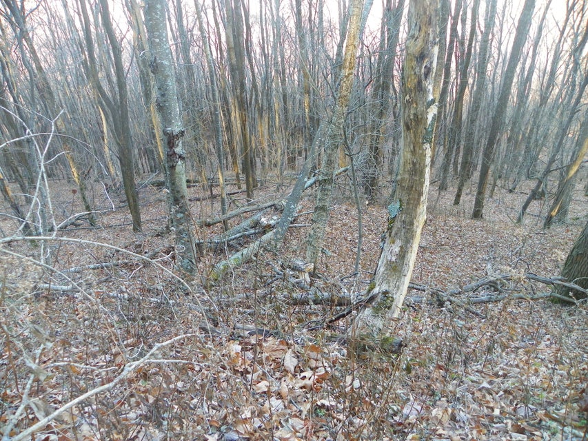 Photo #3: 118 Sylvan Way