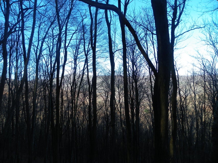 Photo #10: 118 Sylvan Way
