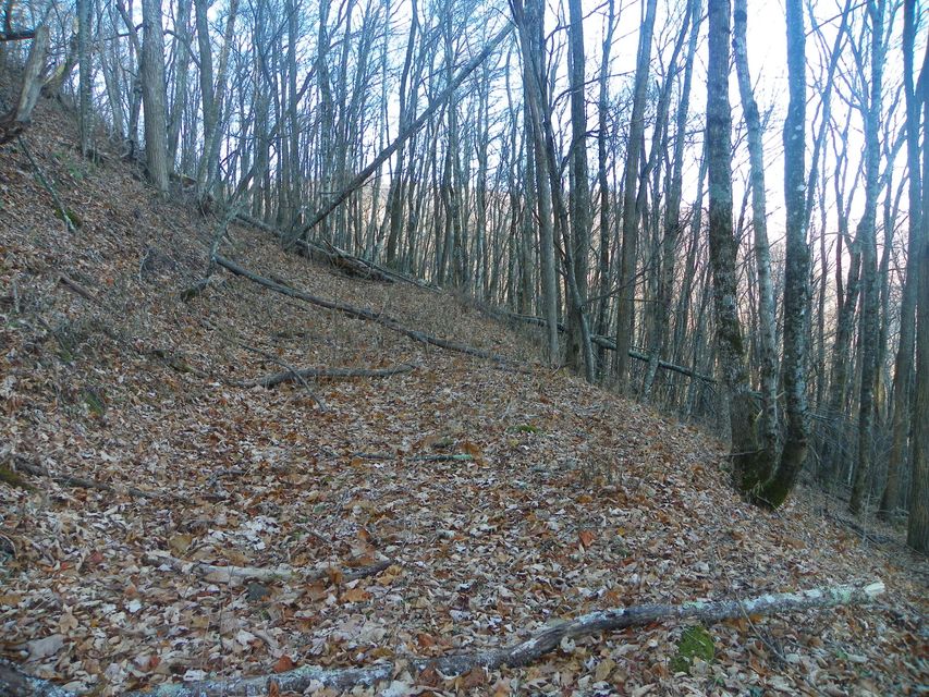 Photo #12: 118 Sylvan Way