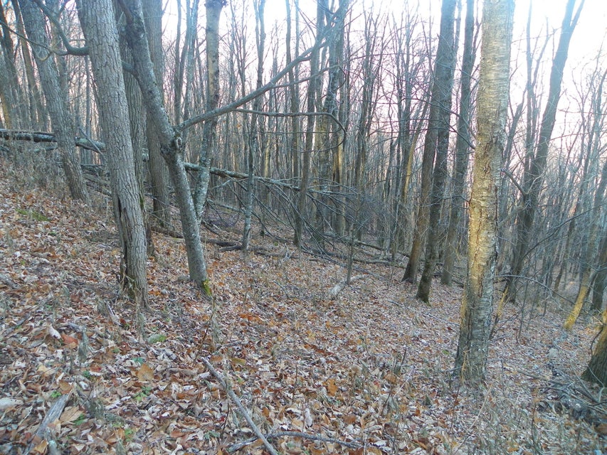 Photo #15: 118 Sylvan Way
