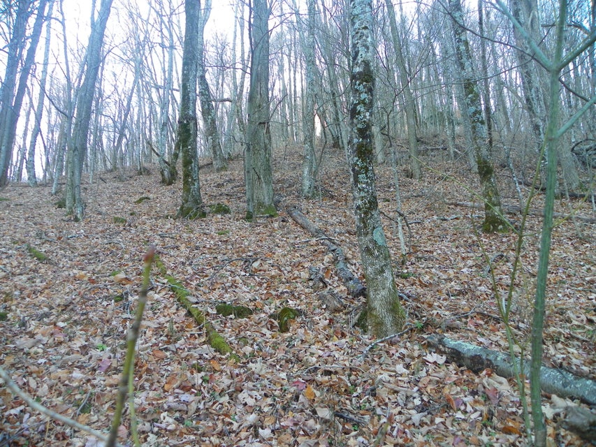 Photo #24: 118 Sylvan Way