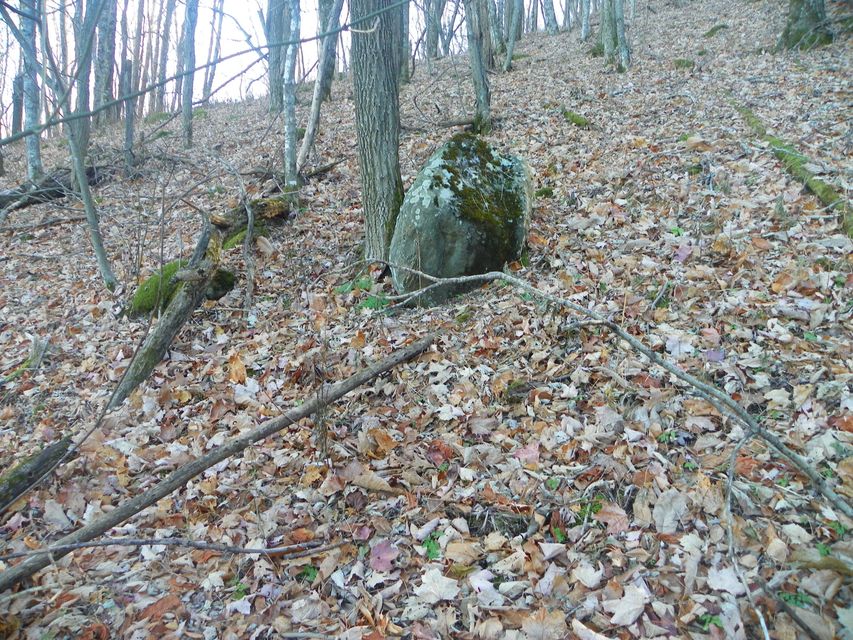Photo #25: 118 Sylvan Way