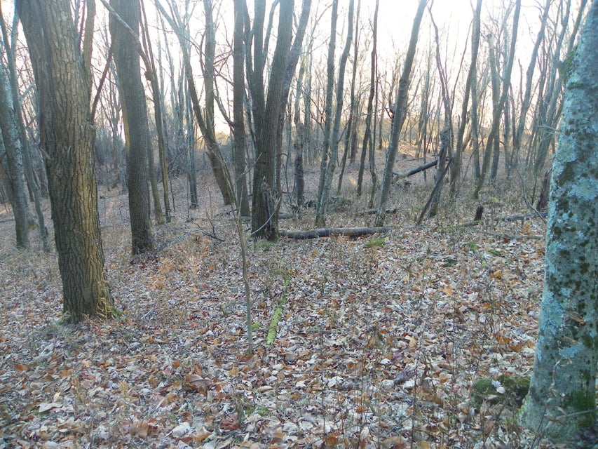 Photo #27: 118 Sylvan Way