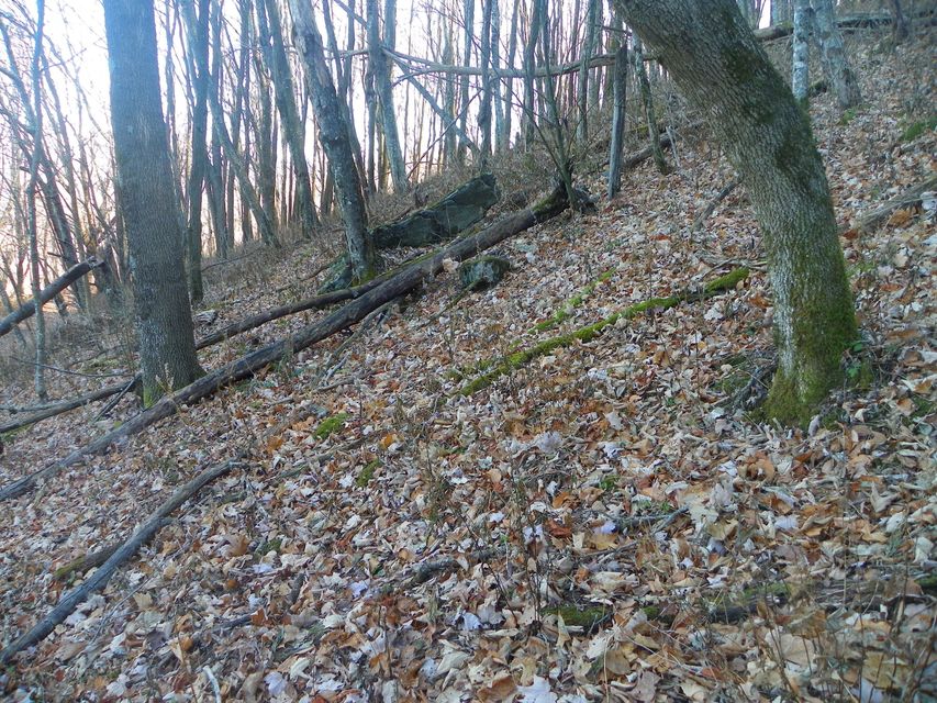 Photo #31: 118 Sylvan Way