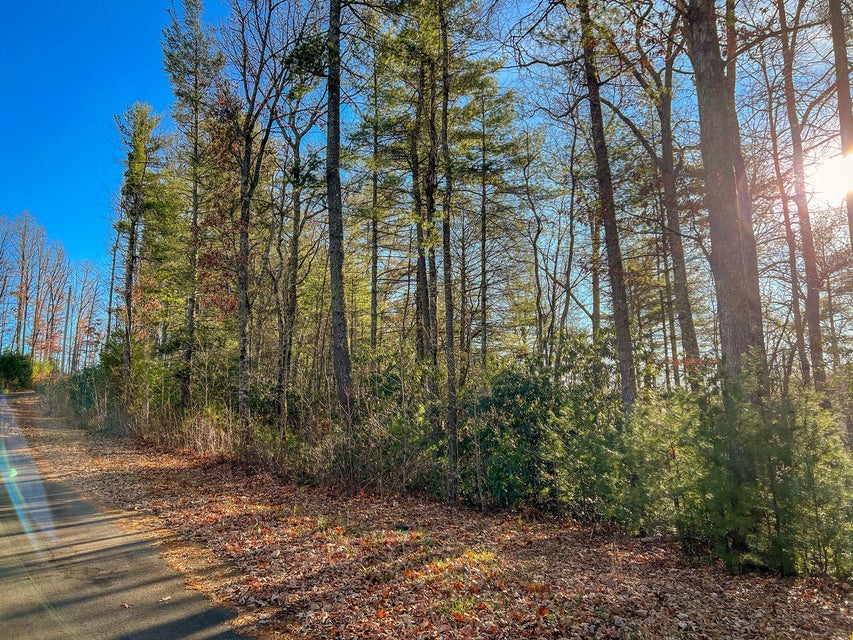 Photo #4: Tbd Blackberry Hill Lane