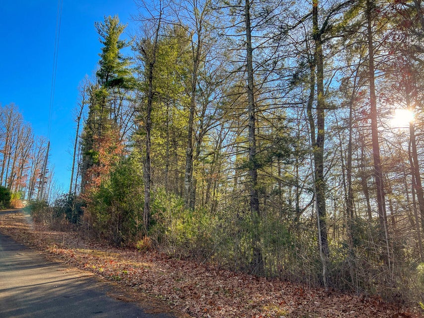 Photo #8: Tbd Blackberry Hill Lane
