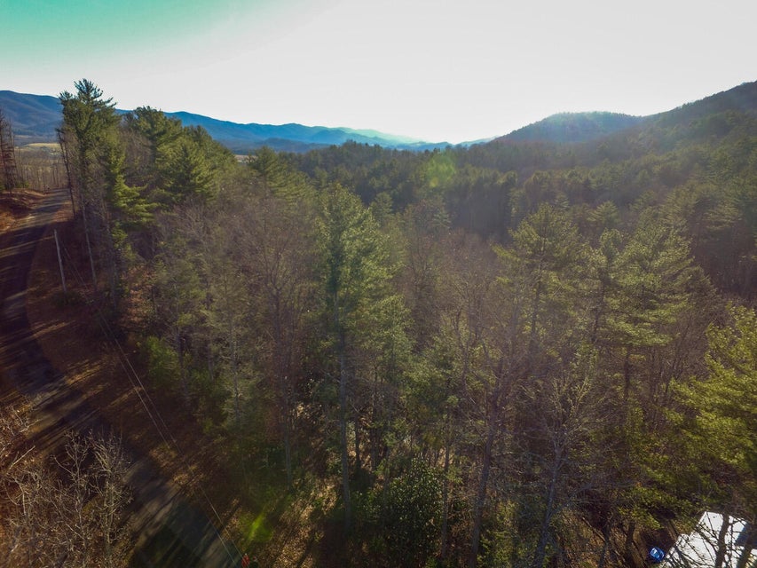 Photo #9: Tbd Blackberry Hill Lane