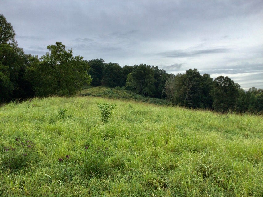Photo #14: End Of Locust Grove Road