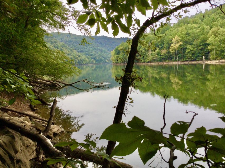 Photo #23: End Of Locust Grove Road