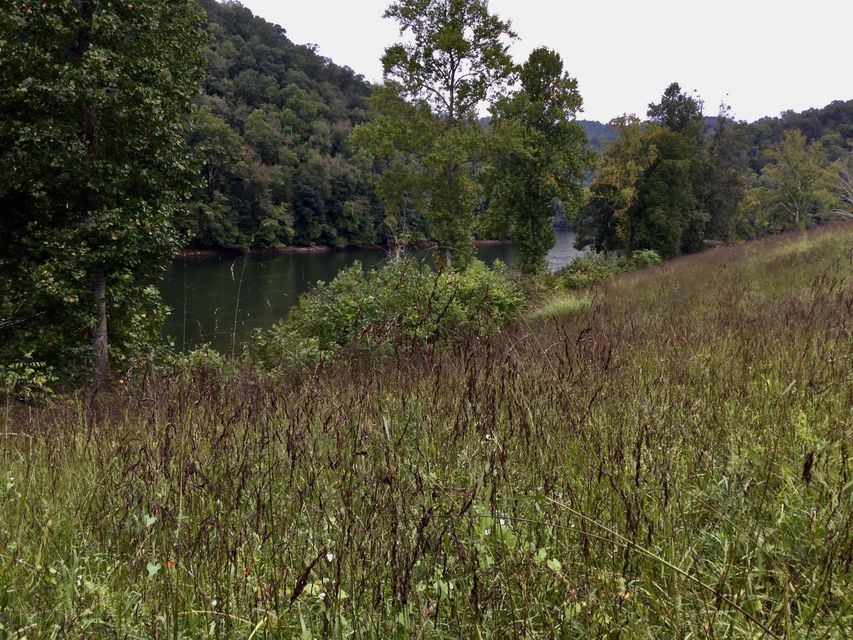 Photo #26: End Of Locust Grove Road