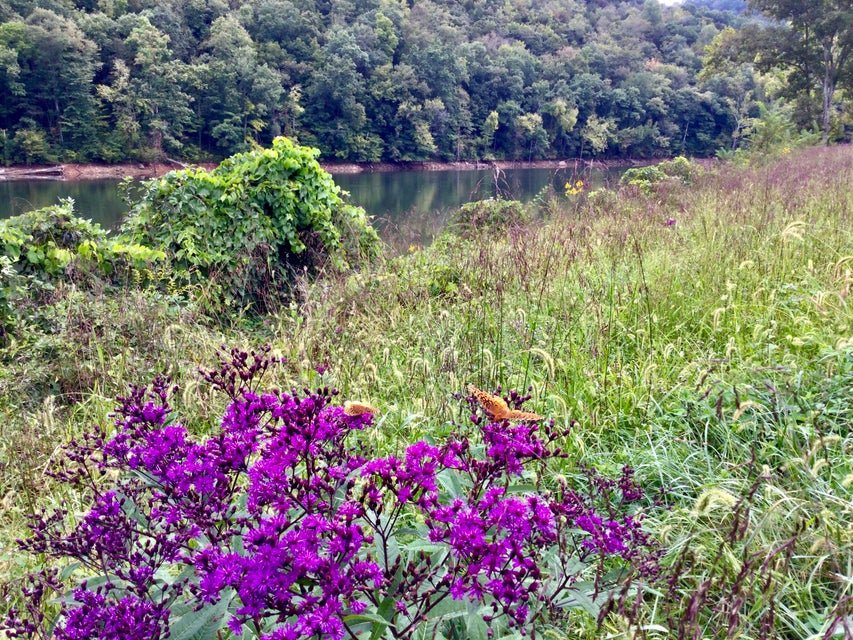 Photo #51: End Of Locust Grove Road