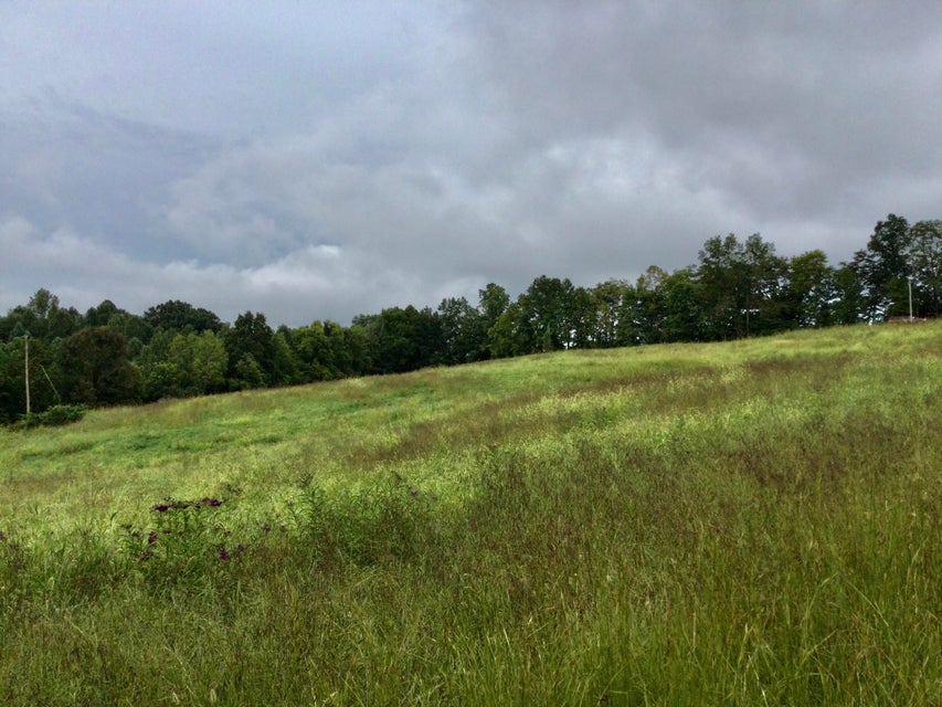 Photo #66: End Of Locust Grove Road