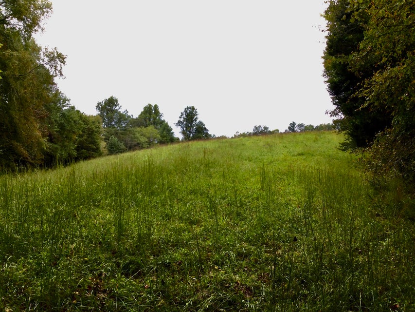 Photo #68: End Of Locust Grove Road
