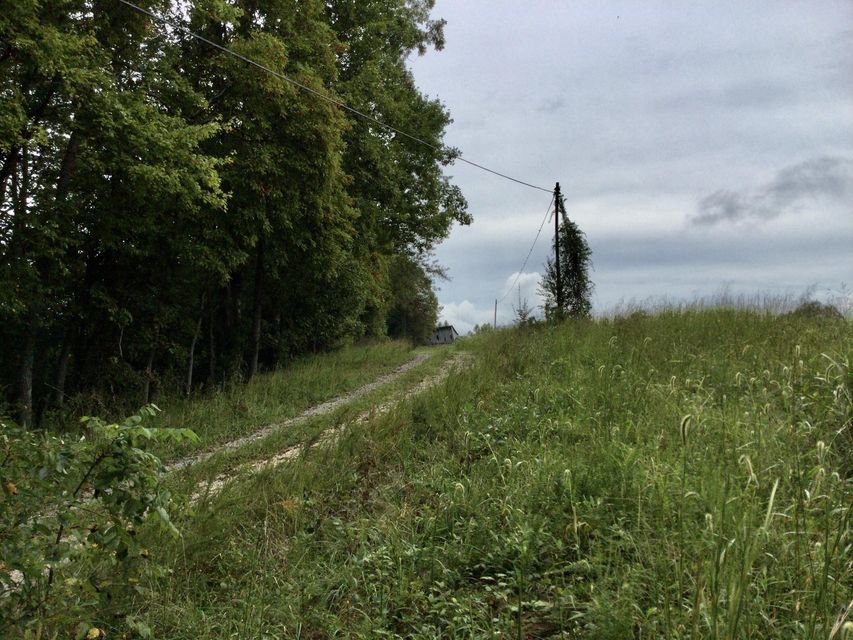 Photo #69: End Of Locust Grove Road