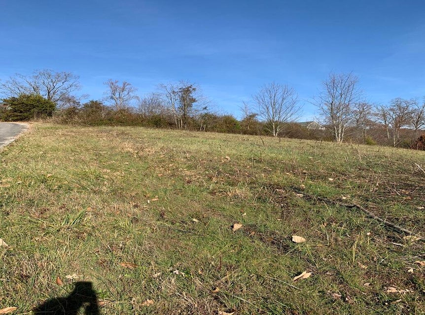 Photo #8: Lot 53, 54 Logan'S Bluff