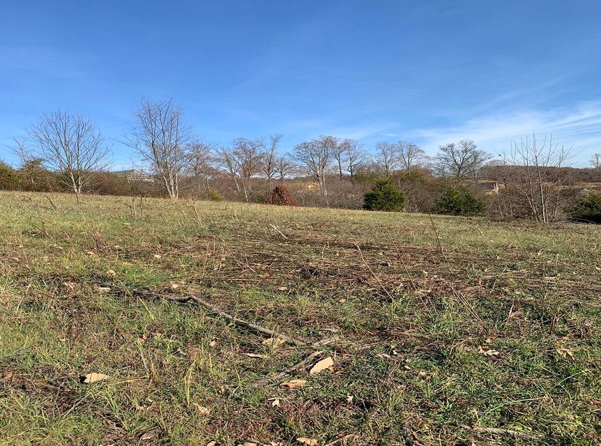 Photo #12: Lot 53, 54 Logan'S Bluff