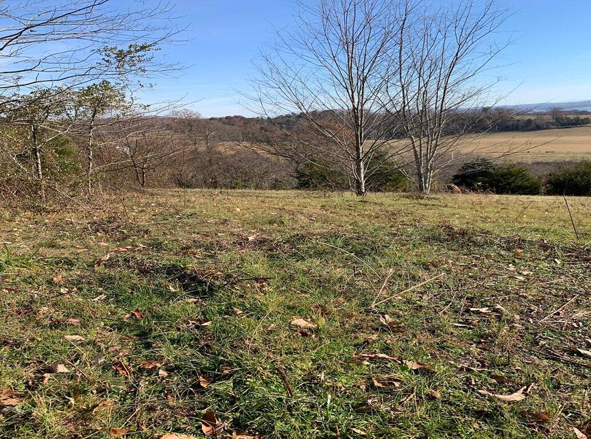 Photo #13: Lot 53, 54 Logan'S Bluff