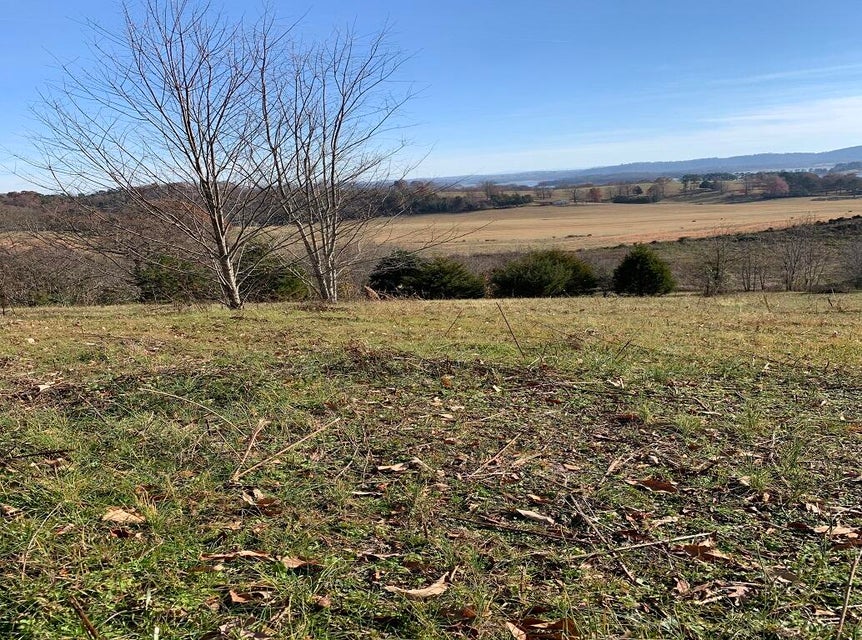 Photo #14: Lot 53, 54 Logan'S Bluff