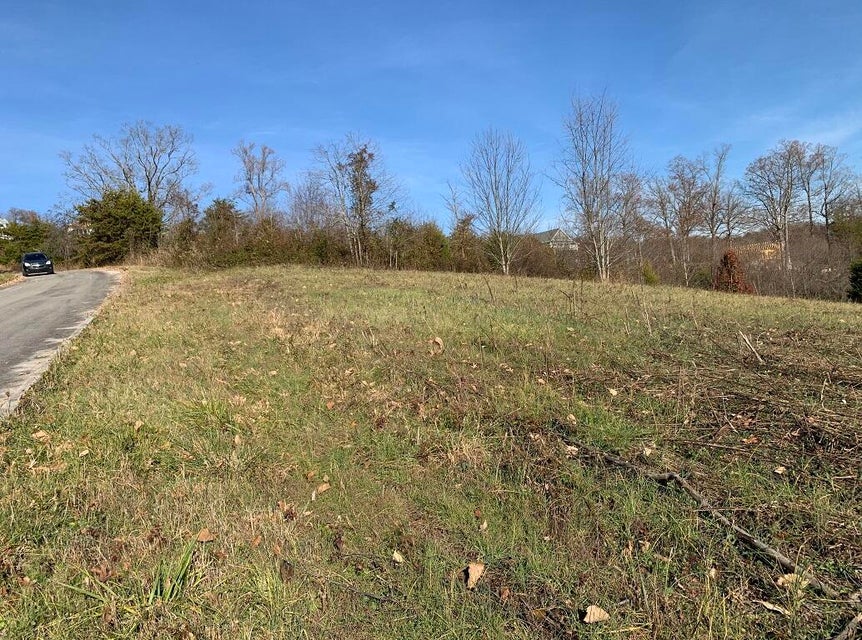Photo #18: Lot 53, 54 Logan'S Bluff