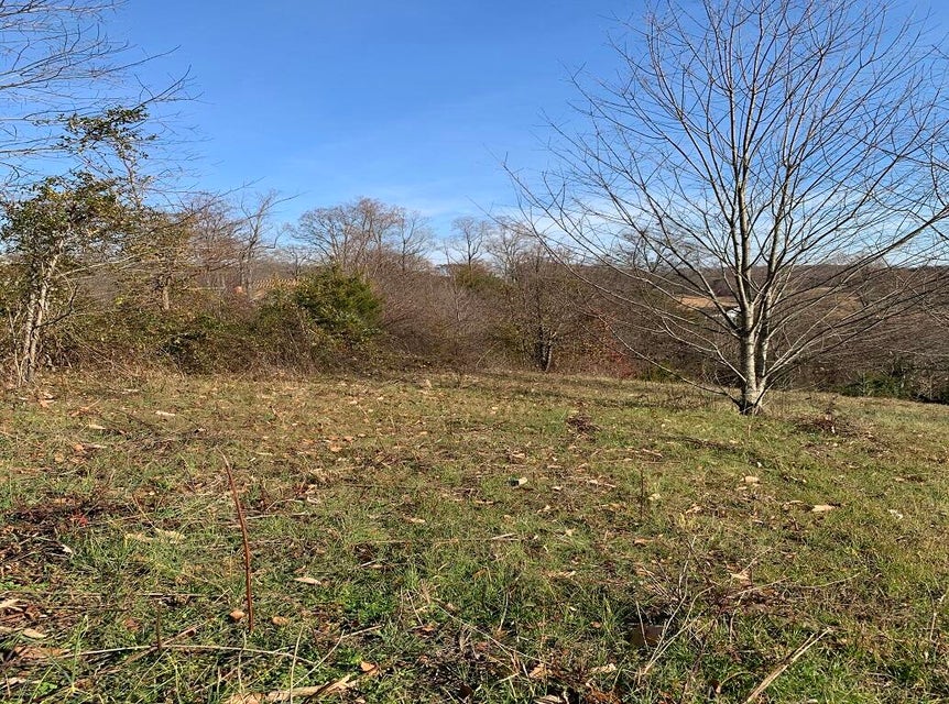 Photo #19: Lot 53, 54 Logan'S Bluff