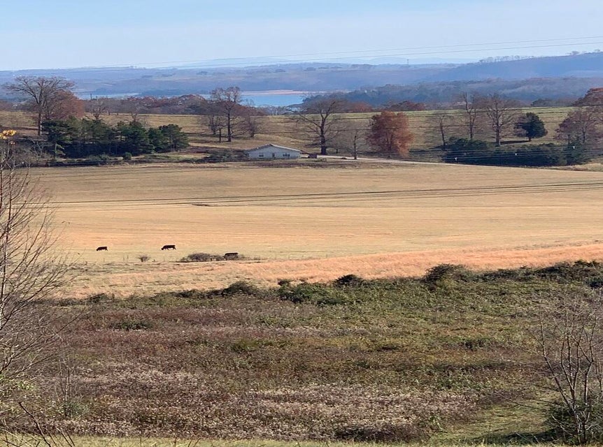 Photo #21: Lot 53, 54 Logan'S Bluff