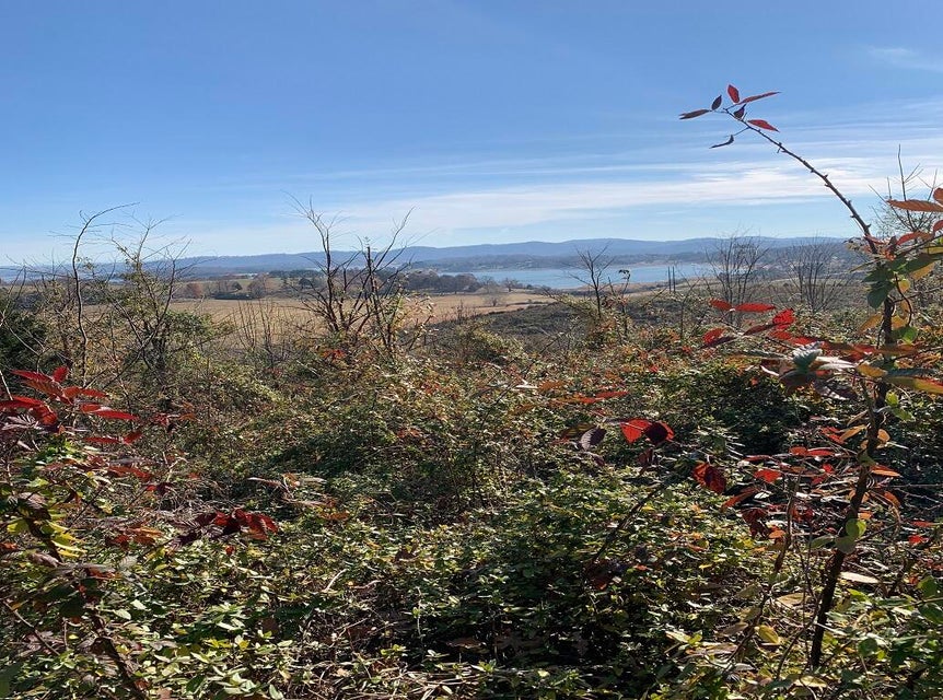 Photo #30: Lot 53, 54 Logan'S Bluff