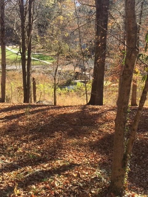 Photo #13: 180 Sugar Hollow Trail