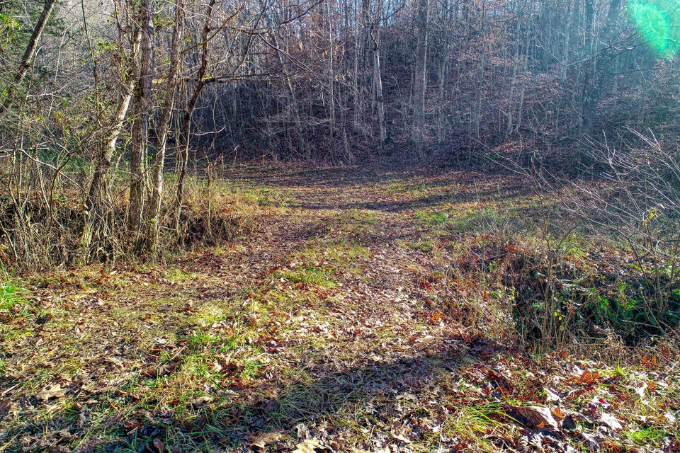 Photo #35: 1173 Butcher Valley Road
