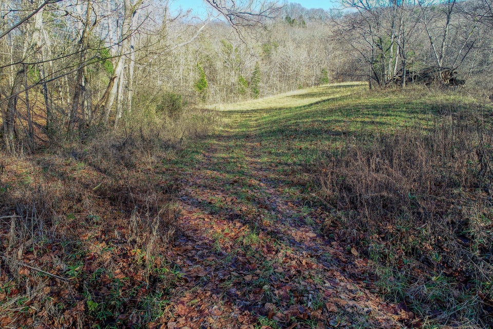 Photo #38: 1173 Butcher Valley Road