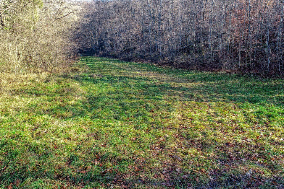 Photo #50: 1173 Butcher Valley Road