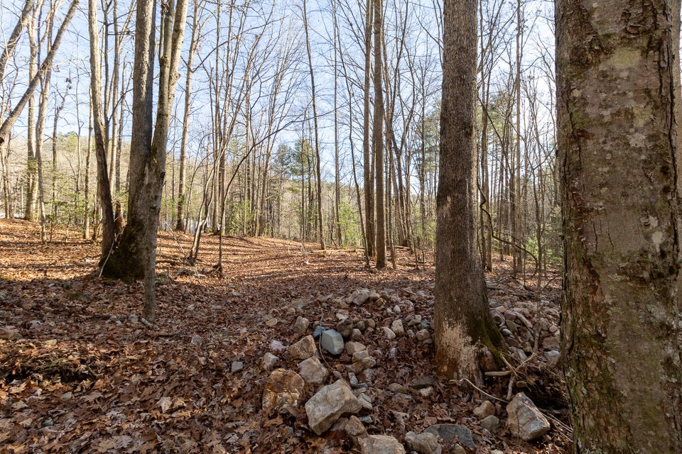 Photo #7: Tbd Jimmy Hollow Road