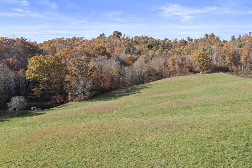 Photo #6: Tbd Fairview / Ray Simerly Road